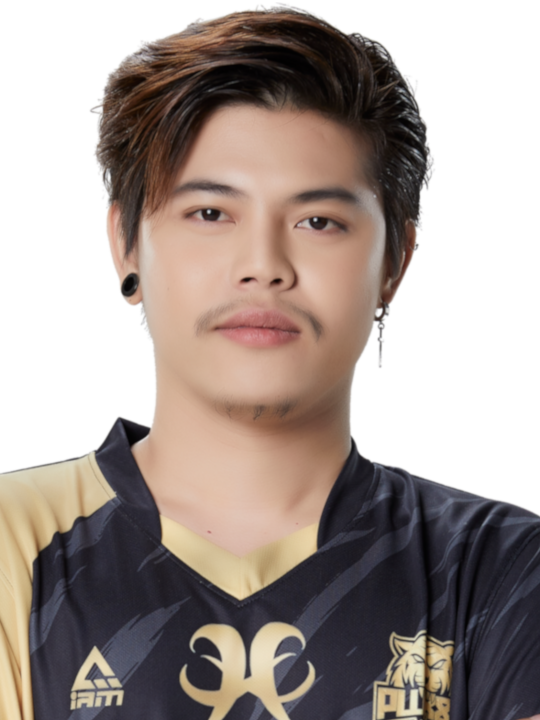 กฤษฎา เพ็งเล็ก -  professional player