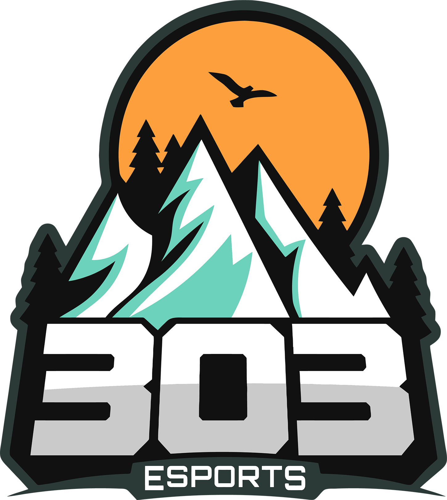 303 Esports