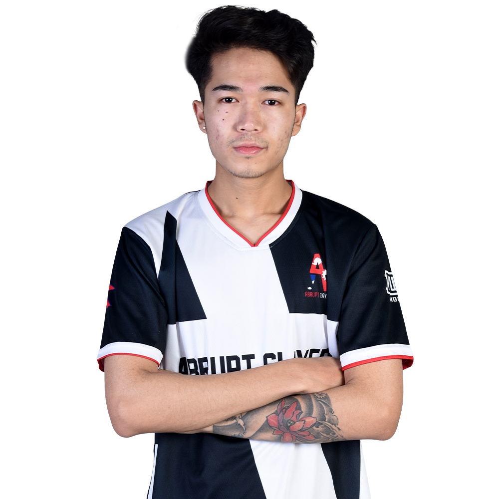 विशाल प्रधान -  professional player