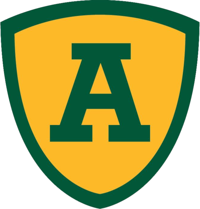 Albert Mikkelsen -  professional player