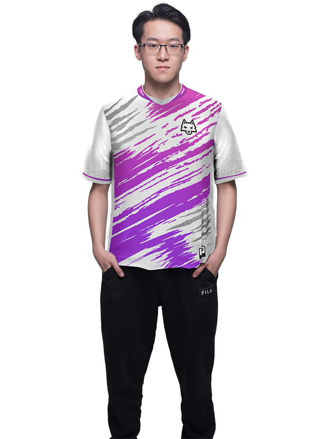 Frank Fei -  professional player