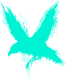 CrowCrowd
