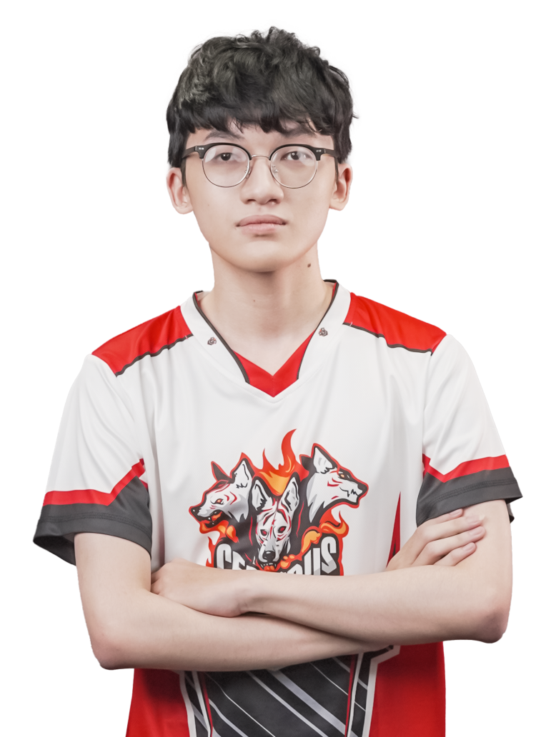 柯文泓 -  professional player