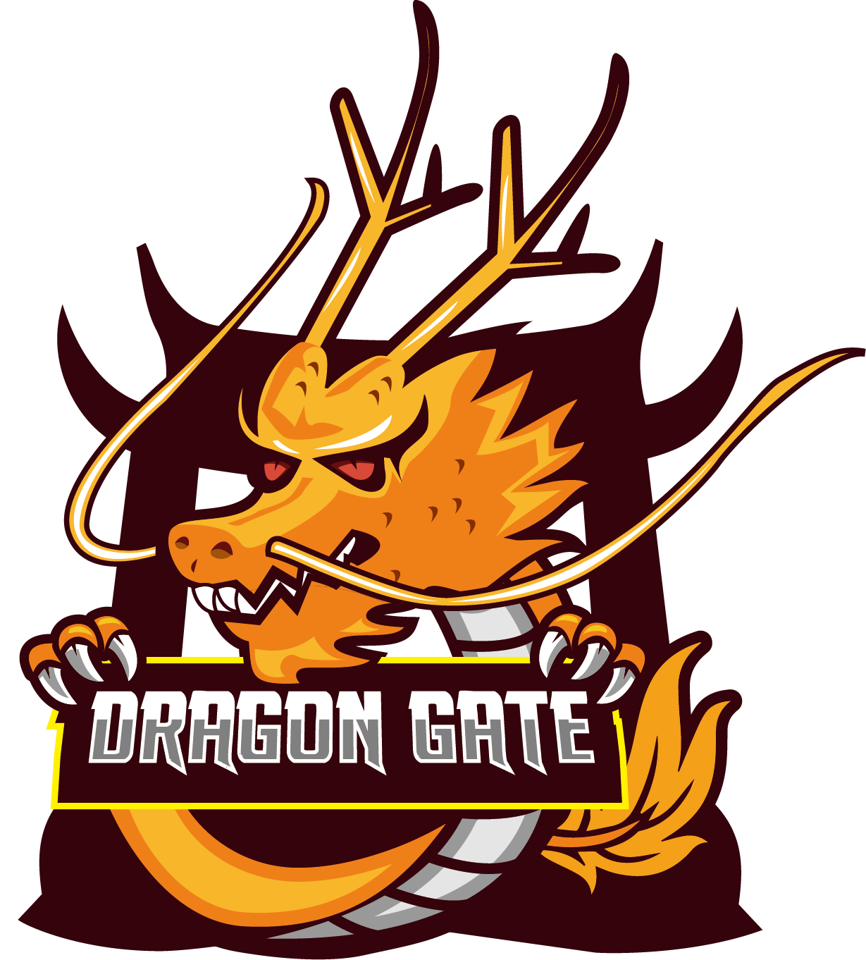 Dragon Gate Team