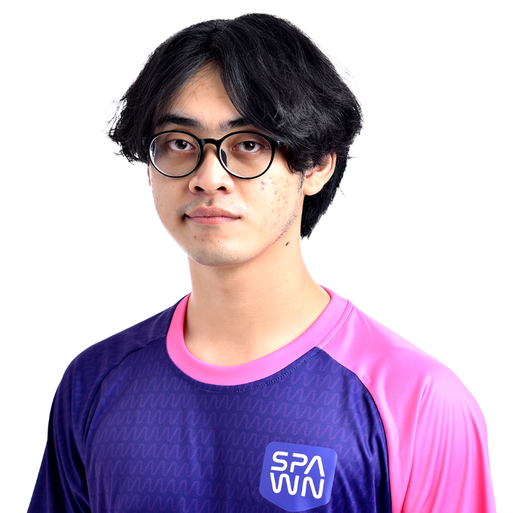 Randy Muhammad Sapoetra -  professional player