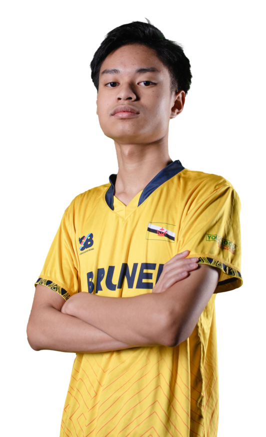 Md Danish Haqeeme Hizami Bin Muhaimin - Goodfellas Gaming professional player