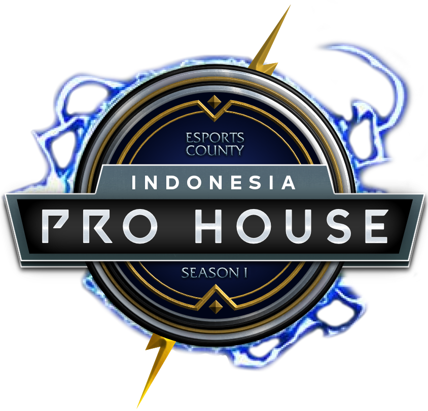  -  professional player