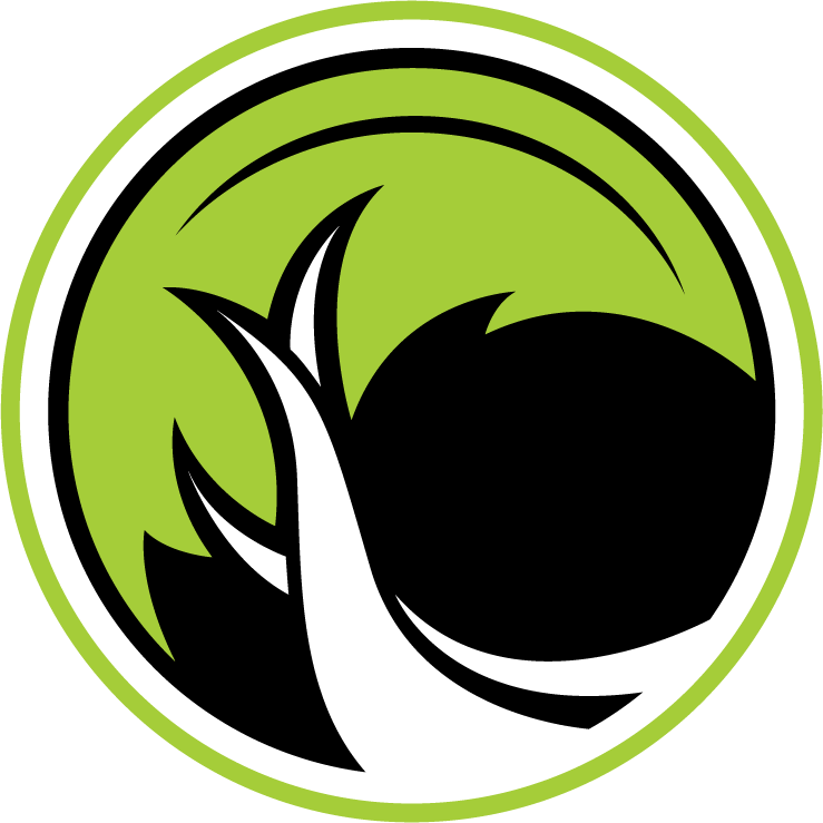 Legacy Esports