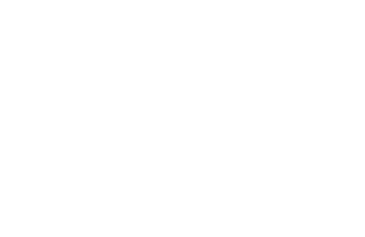 Project Æ